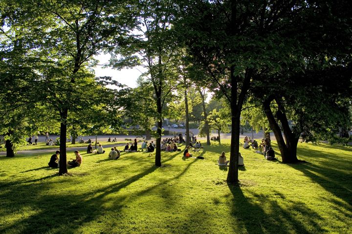 Henkilö nauttii raikkaasta ulkoilmasta puistokävelyllä Helsingissä